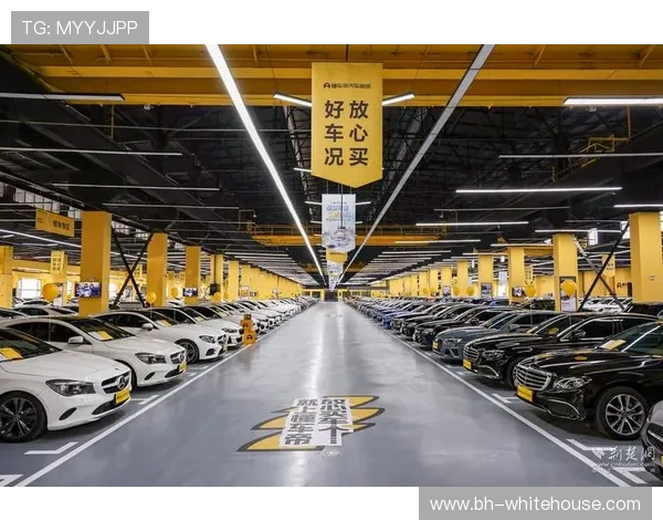 全面解析ag视讯注册安全措施,增强用户信任确保平台稳定运营