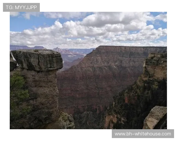 加入ag启航厅娱乐平台，开启你的专属娱乐之旅，享受无与伦比的游戏体验
