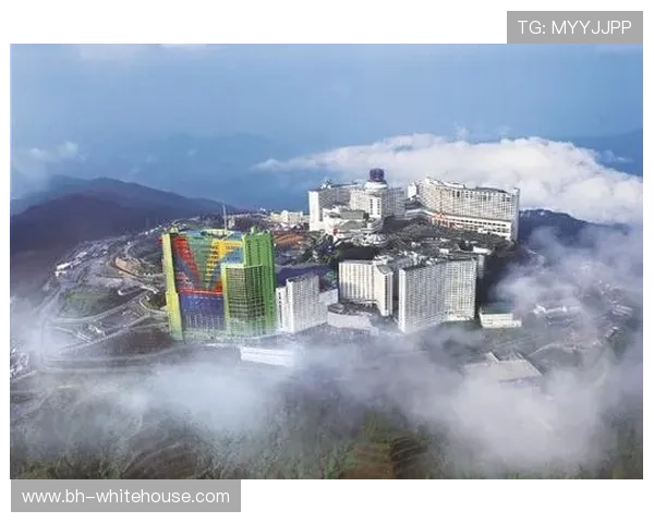 云顶赌场开户政策调整对玩家的影响及应对策略