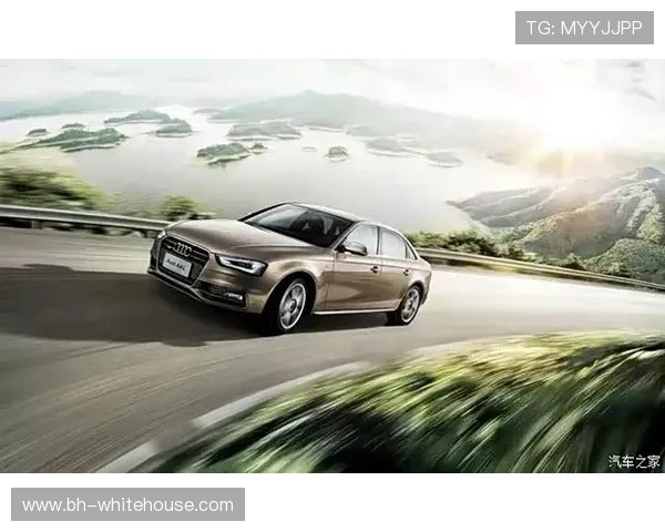 在EVO真人平台如何实现账号安全与个人信息保护的实用技巧