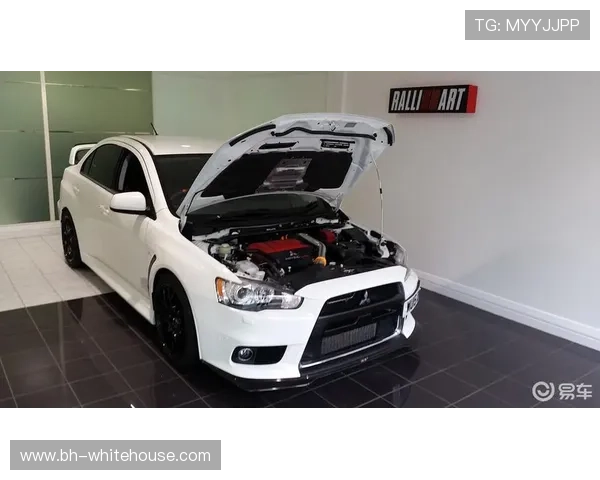 在EVO真人平台上如何选择合适的游戏项目实现收益最大化