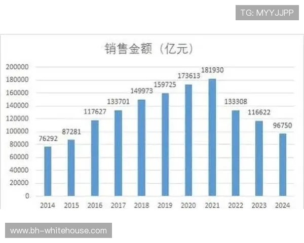 欧宝视讯旗下直营公司全面解析其发展历程与行业地位