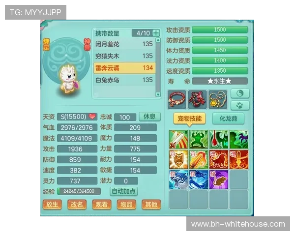 电玩视讯技巧全面解析帮助新手快速入门与提升游戏水平